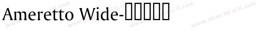 Ameretto Wide字体转换